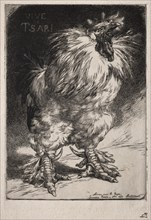 The French Cock, 1893. Félix Bracquemond (French, 1833-1914). Etching; sheet: 40.5 x 27.2 cm (15