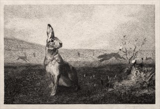 The Hare (after A. de Balleroy), 1865. Félix Bracquemond (French, 1833-1914). Softground and