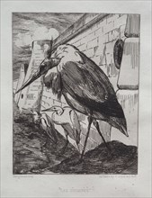 The Storks, 1865. Félix Bracquemond (French, 1833-1914), Cadart & Luquet, Paris. Etching; sheet: 52