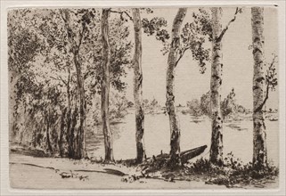 Aspens on the Bank of the Seine. Félix Bracquemond (French, 1833-1914). Etching and drypoint;