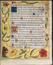 Leaf from a Psalter and Prayerbook: Ornamental Border with Flowers and Squirrel (verso), c. 1524.