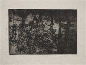 Trees at Night, c. 1894. Armand Séguin (French, 1869-1903). Etching (sugar-lift aquatint?); sheet: