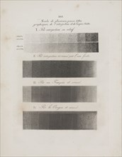Art of the Lithograph: Toning Samples, Plate XVI , 1819. Alois Senefelder (German, 1771-1834).