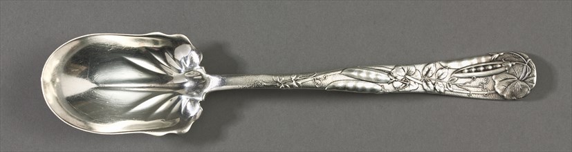 Salad Spoon (Pattern "Vine"), c. 1900. Tiffany and Company (American). Silver; overall: 26.1 cm (10