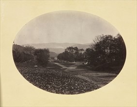 A Road in Williamstown, c. 1870. George K. Warren (American, 1834-1884). Albumen print from wet