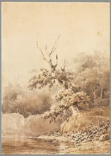 Landscape, 1836. Théodore Rousseau (French, 1812-1867). Pen and brown ink, ink wash, graphite