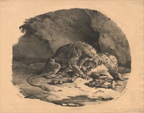 Horse Devoured by a Lion, 1823. Théodore Géricault (French, 1791-1824), Gihaut. Lithograph on chine