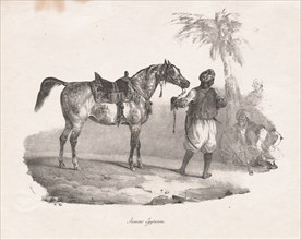 Egyptian Mare, 1822. Théodore Géricault (French, 1791-1824). Lithograph; sheet: 22 x 27.9 cm (8