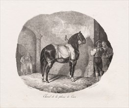 Lithographed Studies of Horses: Pl. 7, Horse from the Caen Plain , 1822. Théodore Géricault