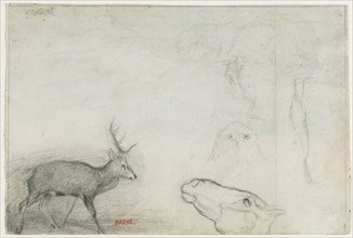 Studies of Animals (verso). Antoine-Louis Barye (French, 1796-1875). Graphite; sheet: 15.5 x 23.1