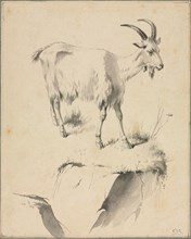 Study of a Goat, 1700s. Jean Jacques de Boissieu (French, 1736-1810). Black ink and gray ink wash