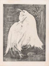 Animal Studies: Two Silver Herons, 1898. Theo van Hoytema (Dutch, 1863-1917). Embossed lithograph;