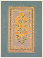 Flowering Marigold, c. 1765. Style of Hunhar II (Indian, active mid-1700s). Opaque watercolor with