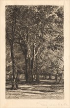 Kensington Gardens, No. 2 (Large Plate), 1860. Francis Seymour Haden (British, 1818-1910). Etching