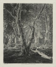 Bois de Pierrefonds, 1874. Adolphe Théodore Jules Martial Potémont (French, 1828-1883). Etching;