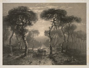 Oeuvres de A. Calame, No. 13: Forêt de Sierre en Valais, 1843 (published 1851). Jacomme & Cie. R.