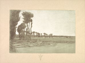 Suite de Paysages: Landscape,  Plate 5, Remarque, Three Stalks of Wheat, 1892-1893. Charles Marie