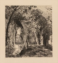 Auguste Lepère: Sous bois, à la Rigonette (Vendèe). Auguste Louis Lepère (French, 1849-1918).