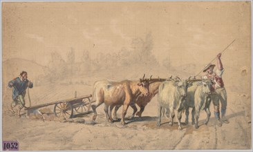 Four Oxen Pulling a Plough, 1853. Constant Troyon (French, 1810-1865). Black chalk and gouache with