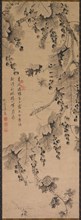 Grapevine, 1700s to 1800s. China, Qing dynasty (1644-1911). Hanging scroll; ink on paper; overall: