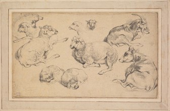 Sheet of Studies with Sheep, Goats, and Dogs, c. 1780. Jean-Baptiste Marie Hüet (French, 1745-1811)