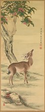 Symbols of Longevity: Deer under Peach and Pine (Pine) (right), 1801. Toda Tadanaka (Japanese,