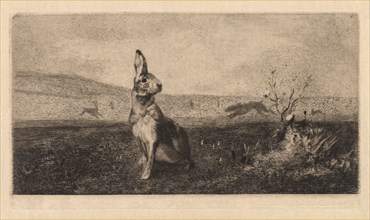 The Hare (Le Lièvre), 1865. After Albert de Balleroy (French, 1828-1873), Félix Bracquemond