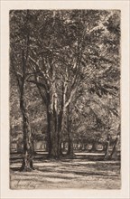 Kensington Gardens, No. 2 (The Larger Plate), 1860. Francis Seymour Haden (British, 1818-1910).