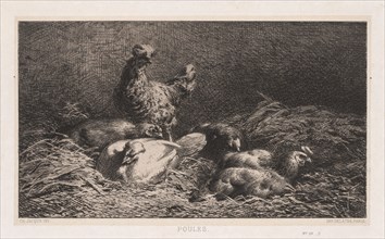 Chickens (Poutes), 1867. Charles-Émile Jacque (French, 1813-1894). Etching on chine collé