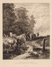 The Returning Herd, c. 1885. Peter Moran (American, 1841-1914). Etching
