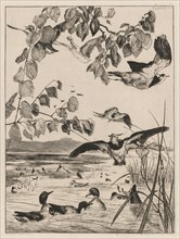 Lapwings and Teals, 1862. Félix Bracquemond (French, 1833-1914). Etching on laid paper; sheet: 46 x