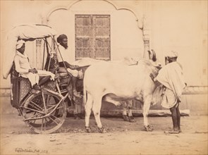 Bullock Cart, Delhi, 1863. Shepherd & Robertson (British, active Agra and Simla, 1862-1864).