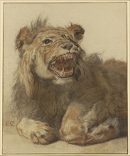 A Lion Snarling; Cornelis Saftleven, Dutch, 1607 - 1681, about 1625 - 1633; Black and red chalk and black and brown washes