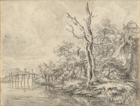 Dead Tree by a Stream at the Foot of a Hill; Jacob van Ruisdael, Dutch, 1628,1629 - 1682, about 1650 - 1660; Black chalk, point