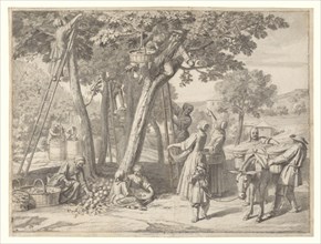 An Apple Harvest; Claude Simpol, French, 1666 - 1716, France; about 1700; Brush and gray wash and black chalk, incised