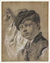 A Boy Holding a Pear; Giovanni Battista Piazzetta, Italian, 1682 - 1754, about 1737; Black and white chalk on blue-gray paper