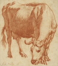 A Cow Grazing; Adriaen van de Velde, Dutch, 1636 - 1672, Holland; about 1663; Red chalk, black framing lines; 15.6 x 14 cm