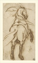 Study of a Rearing Horse; Jacques Callot, French, 1592 - 1635, about 1616; Quill and reed pens and brown ink; 32.4 x 18.4 cm