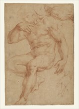 Studies of a Male Nude, a Drapery, and a Hand; Giorgio Vasari, Italian, 1511 - 1574, about 1555 - 1565; Red chalk; 36 × 24.3 cm