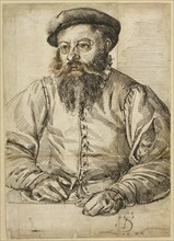 Portrait of a Bearded Man; Tobias Stimmer, Swiss, 1539 - 1584, 1576; Pen and black and brown ink over black chalk