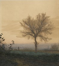 Landscape with a Bare Tree and a Plowman; Léon Bonvin, French, 1834 - 1866, France; 1864; Pen and brown ink, watercolor
