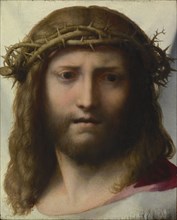 Head of Christ; Correggio, Antonio Allegri, Italian, about 1489 - 1534, about 1525 - 1530; Oil on panel; 28.6 × 23.5 cm