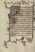 Initial D: The Crucifixion; Atelier of the Passion Master; Northeastern, illuminated, France; illumination about 1270 - 1280