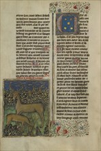 Deer; Brittany, France; about 1430 - 1440; Tempera colors, gold paint, silver paint, and gold leaf on parchment; Leaf: 26.4 x 18