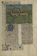 Fallow Deer; Brittany, France; about 1430 - 1440; Tempera colors, gold paint, silver paint, and gold leaf on parchment; Leaf: 26