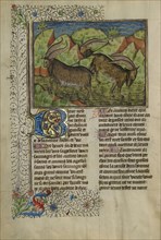 He-Goats; Brittany, France; about 1430 - 1440; Tempera colors, gold paint, silver paint, and gold leaf on parchment; Leaf: 26.4
