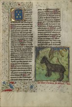 Bear; Brittany, France; about 1430 - 1440; Tempera colors, gold paint, silver paint, and gold leaf on parchment; Leaf: 26.4 x 18