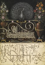 Flower Arrangements, Peacock, Butterflies, and Insect; Joris Hoefnagel, Flemish , Hungarian, 1542 - 1600, and Georg Bocskay