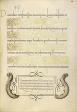 Caterpillars; Joris Hoefnagel, Flemish , Hungarian, 1542 - 1600, and Georg Bocskay, Hungarian, died 1575, Vienna, Austria