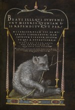 A Sloth; Joris Hoefnagel, Flemish , Hungarian, 1542 - 1600, and Georg Bocskay, Hungarian, died 1575, Vienna, Austria; 1561